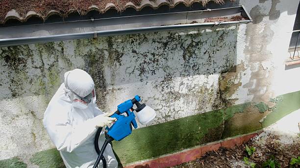 Mold Removal service in Lafayette Hill